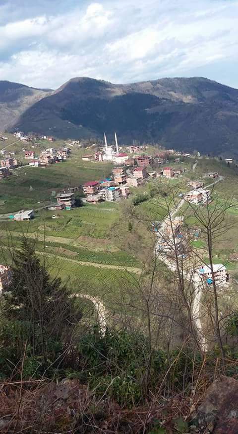 Araklı Taştepe Köyü Resimleri 7