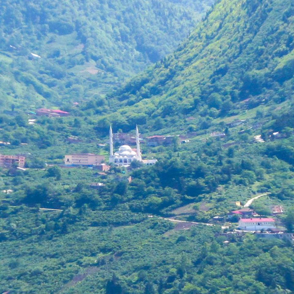 Araklı Taştepe Köyü Resimleri 8