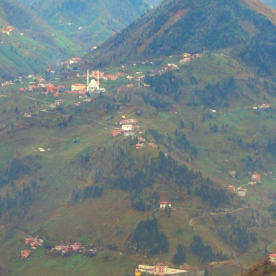 Araklı Taştepe Köyü Resimleri 9