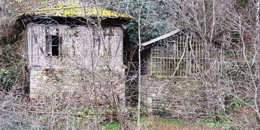 Araklı Taştepe Köyü Resimleri
