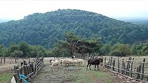 Çan Mallı Köyü Resimleri 3