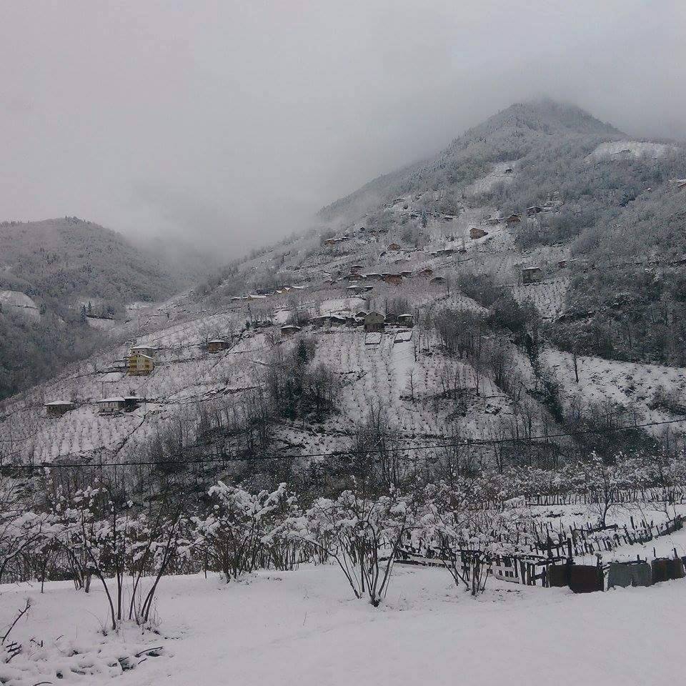 Araklı Turnalı Köyü Resimleri 17