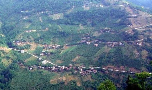 Araklı Turnalı Köyü Resimleri 20