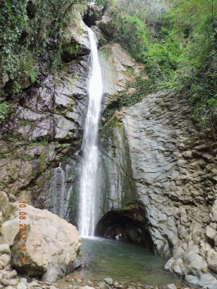 Araklı Turnalı Köyü Resimleri 28
