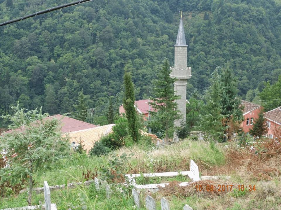 Araklı Turnalı Köyü Resimleri 33