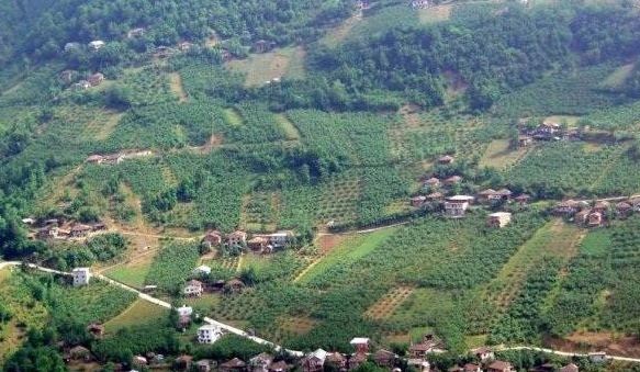 Araklı Turnalı Köyü Resimleri 5