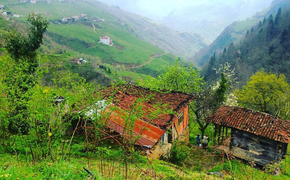 Araklı Turnalı Köyü Resimleri 9