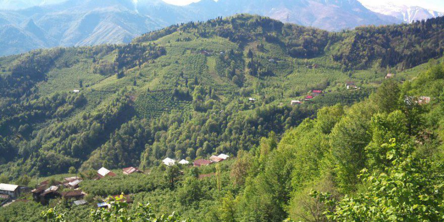 Araklı Turnalı Köyü Resimleri