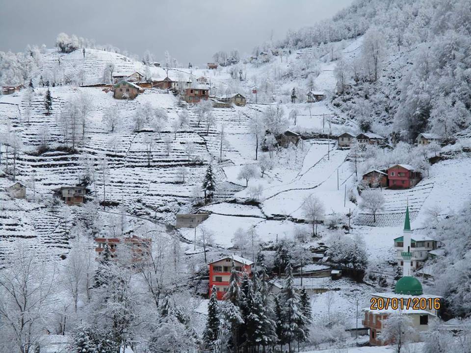 Araklı Türkeli Köyü Resimleri 6