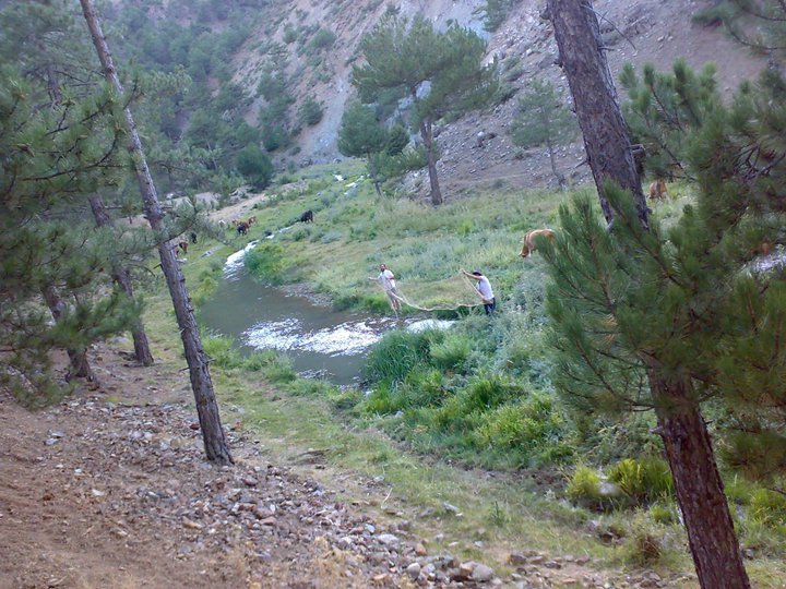 Banaz Ayrancı  Köyü Resimleri 3