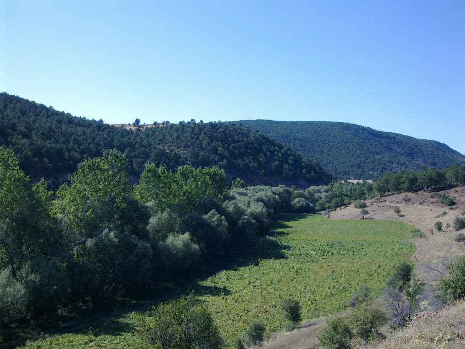 Banaz Ayrancı  Köyü Resimleri 5