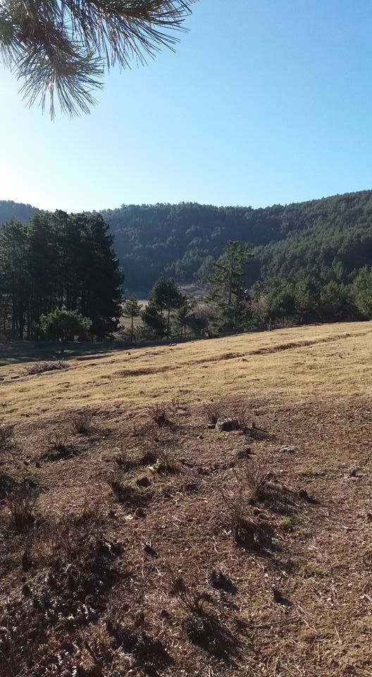 Banaz Ayrancı  Köyü Resimleri 8