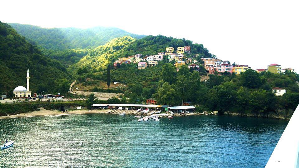 Espiye Gülburnu Köyü Resimleri 3