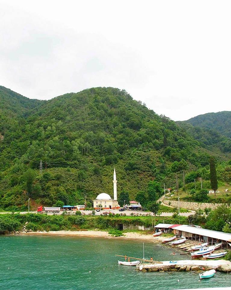 Espiye Gülburnu Köyü Resimleri 6