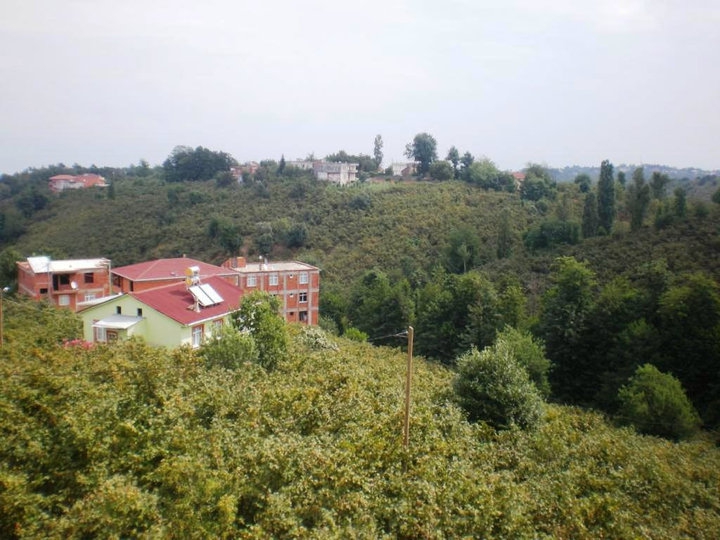 Araklı Yalıboyu Köyü Resimleri 5