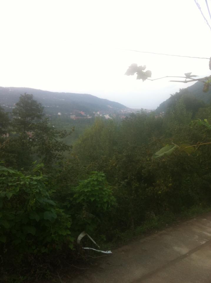 Araklı Yassıkaya Köyü Resimleri 1