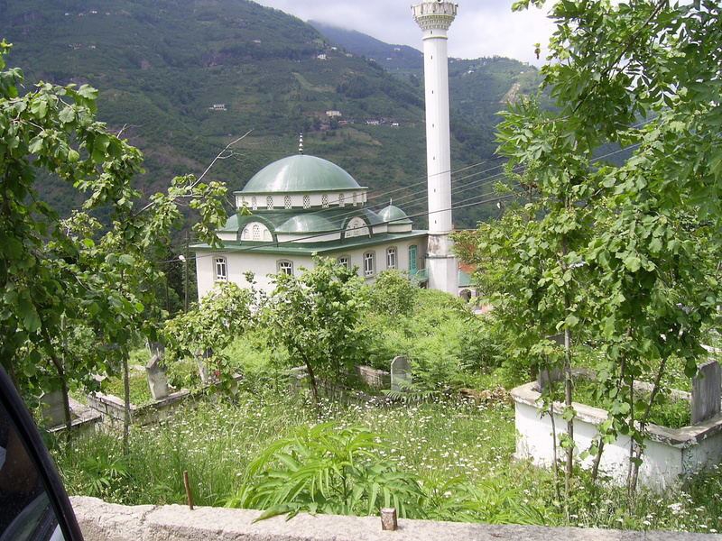 Araklı Yassıkaya Köyü Resimleri 10