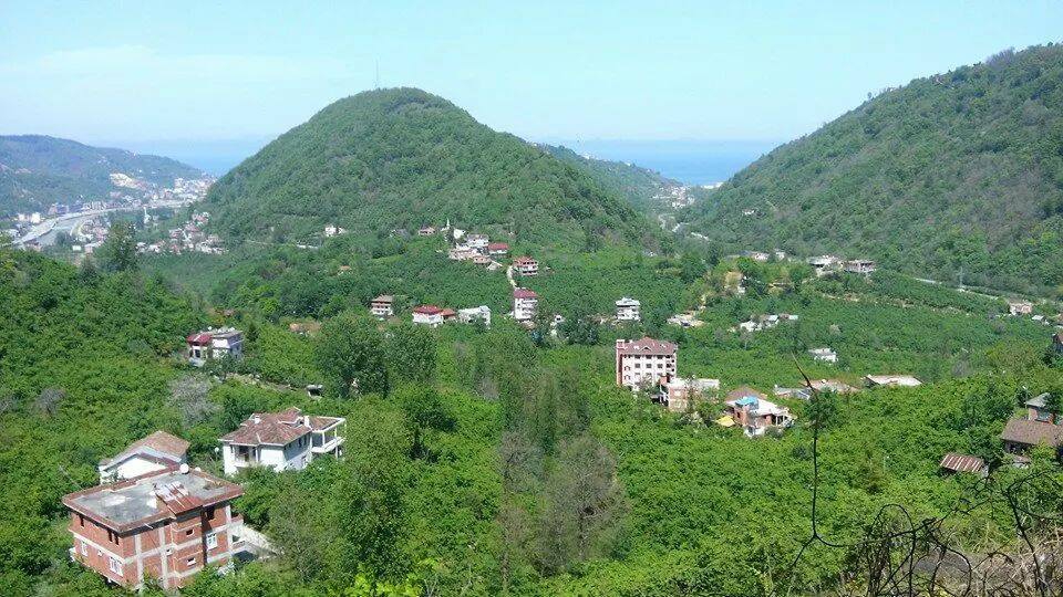 Araklı Yassıkaya Köyü Resimleri 5