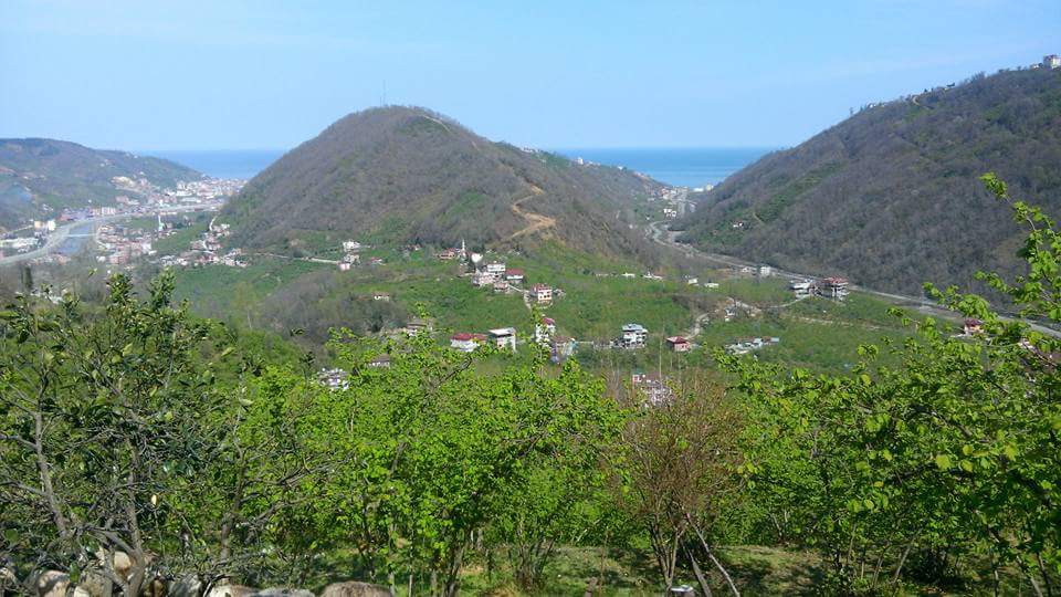 Araklı Yassıkaya Köyü Resimleri 6