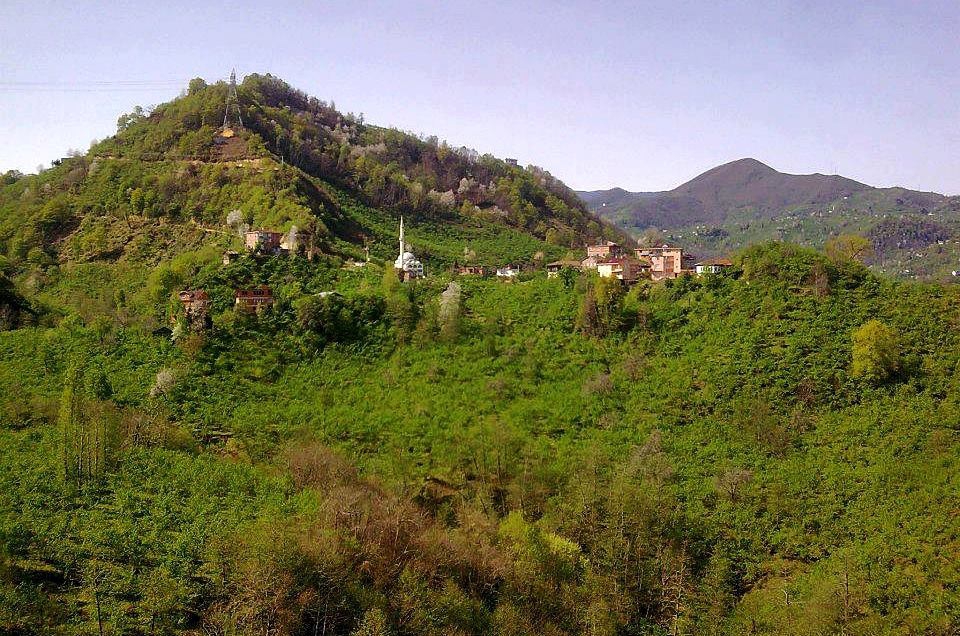 Araklı Yassıkaya Köyü Resimleri 8