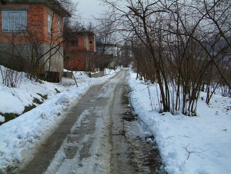 Araklı Yassıkaya Köyü Resimleri 9
