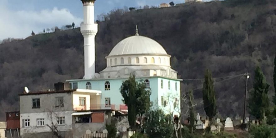 Araklı Yassıkaya Köyü Resimleri