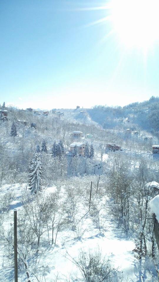 Araklı Yeniköy Köyü Resimleri 10