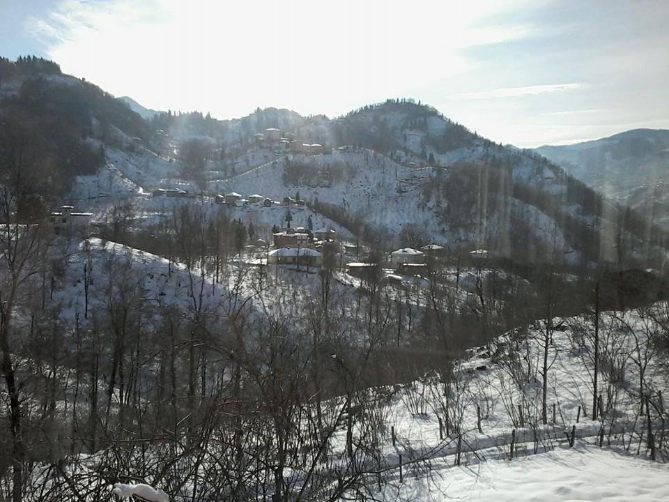 Araklı Yeniköy Köyü Resimleri 11