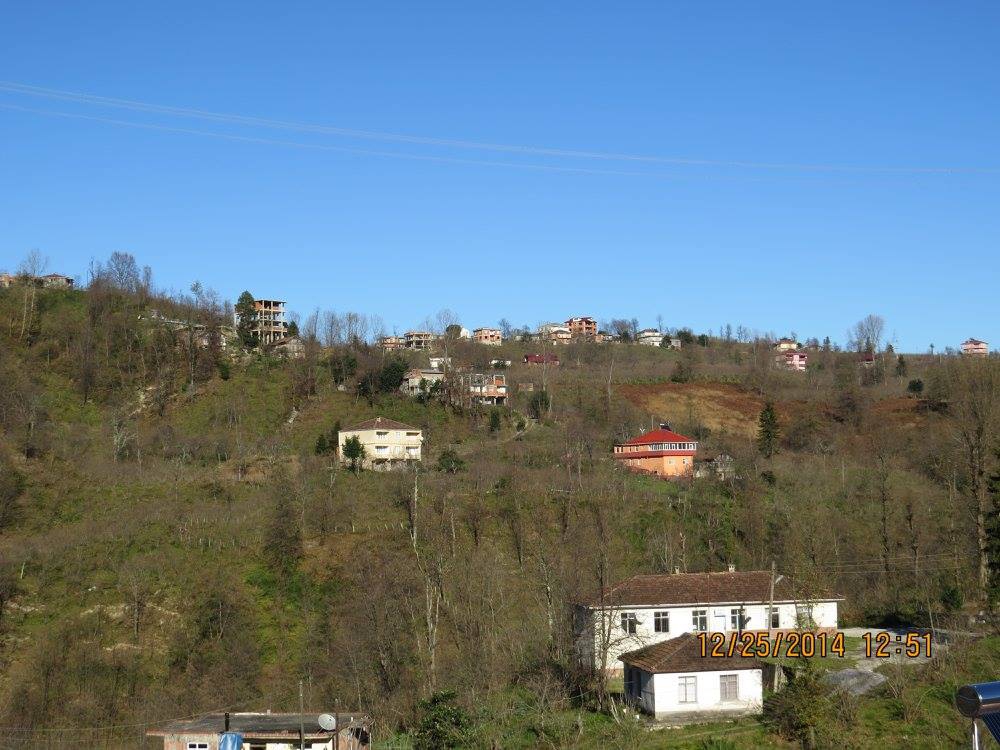 Araklı Yeniköy Köyü Resimleri 12