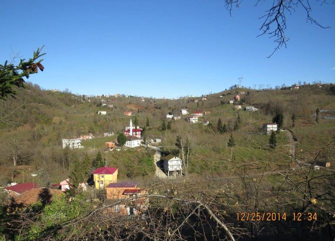 Araklı Yeniköy Köyü Resimleri 14
