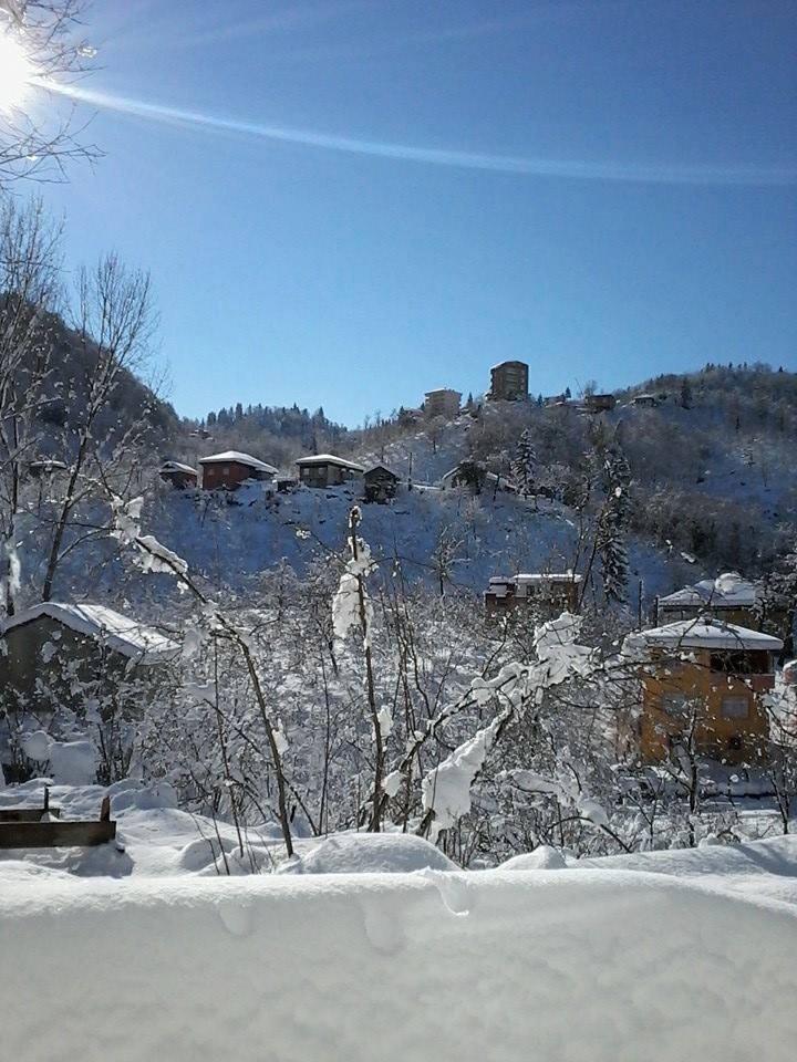 Araklı Yeniköy Köyü Resimleri 15