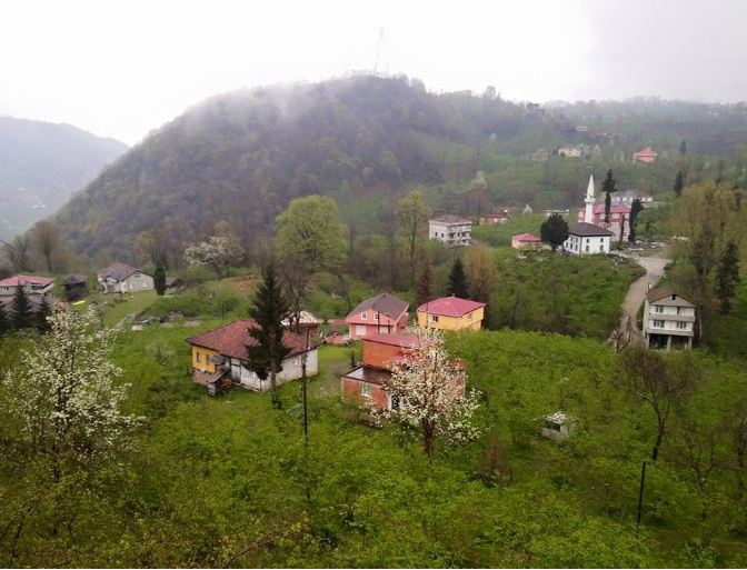 Araklı Yeniköy Köyü Resimleri 17