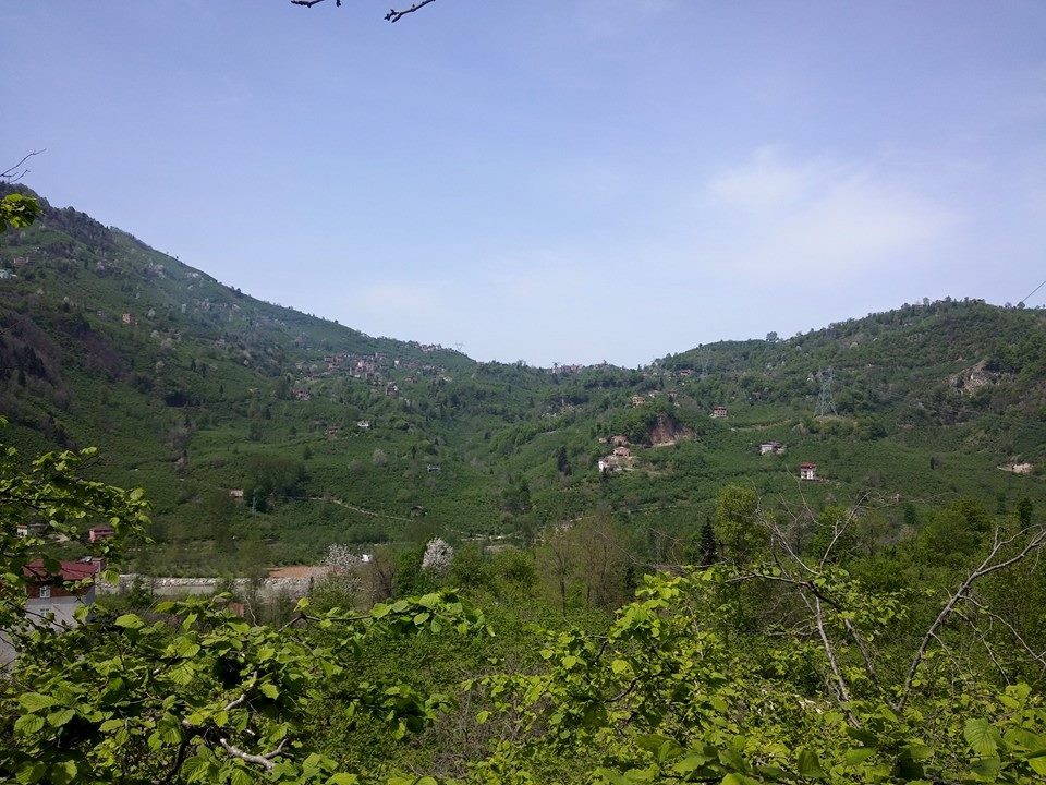 Araklı Yeniköy Köyü Resimleri 19