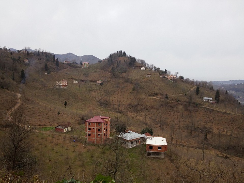 Araklı Yeniköy Köyü Resimleri 20