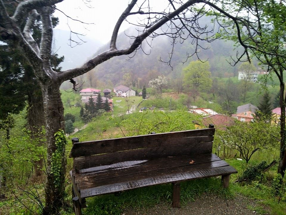 Araklı Yeniköy Köyü Resimleri 21