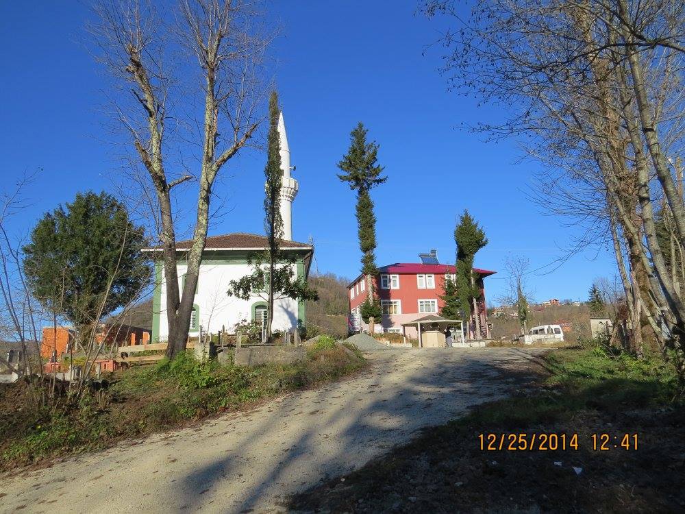 Araklı Yeniköy Köyü Resimleri 22