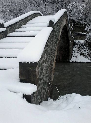 Araklı Yeniköy Köyü Resimleri 4