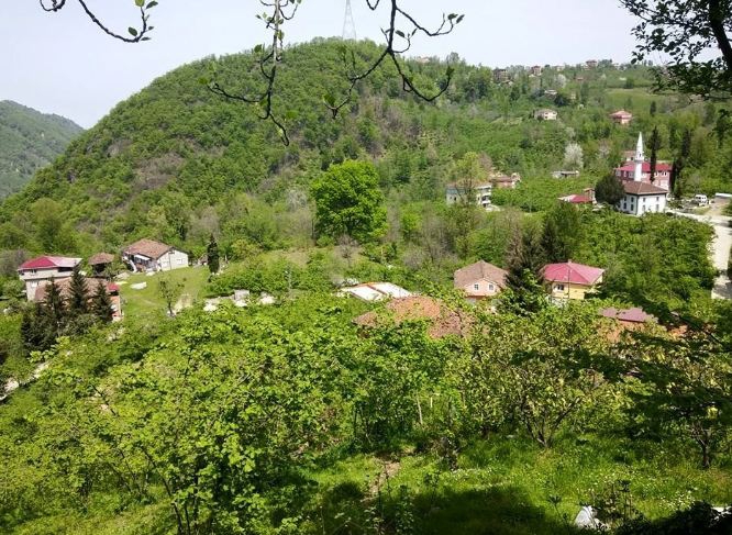 Araklı Yeniköy Köyü Resimleri 6