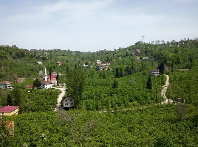 Araklı Yeniköy Köyü Resimleri 7