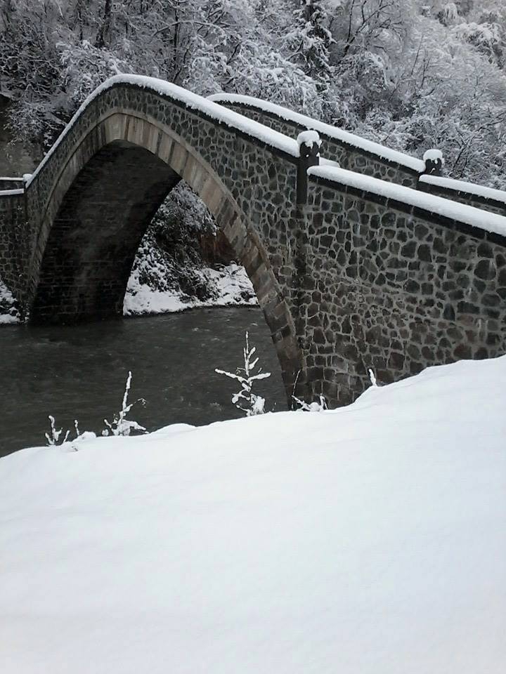 Araklı Yeniköy Köyü Resimleri 9