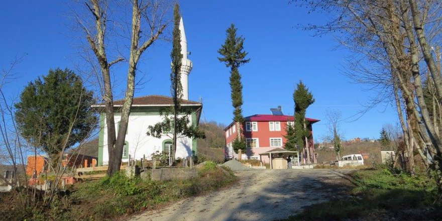 Araklı Yeniköy Köyü Resimleri