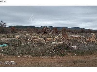 Banaz Çöğürlü Köyü Resimleri 10