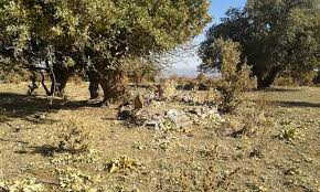 Banaz Çöğürlü Köyü Resimleri 4