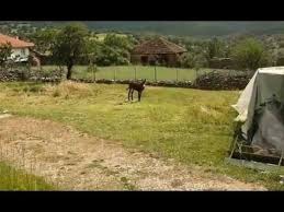 Banaz Çöğürlü Köyü Resimleri 8