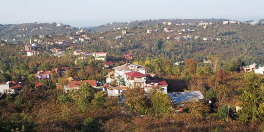Araklı Yeşilce Köyü Resimleri