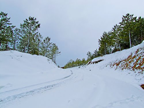 Banaz Düzlüce Köyü Resimleri 5