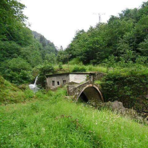 Araklı Yeşilköy Resimleri 1