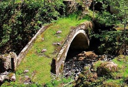 Araklı Yeşilköy Resimleri 2