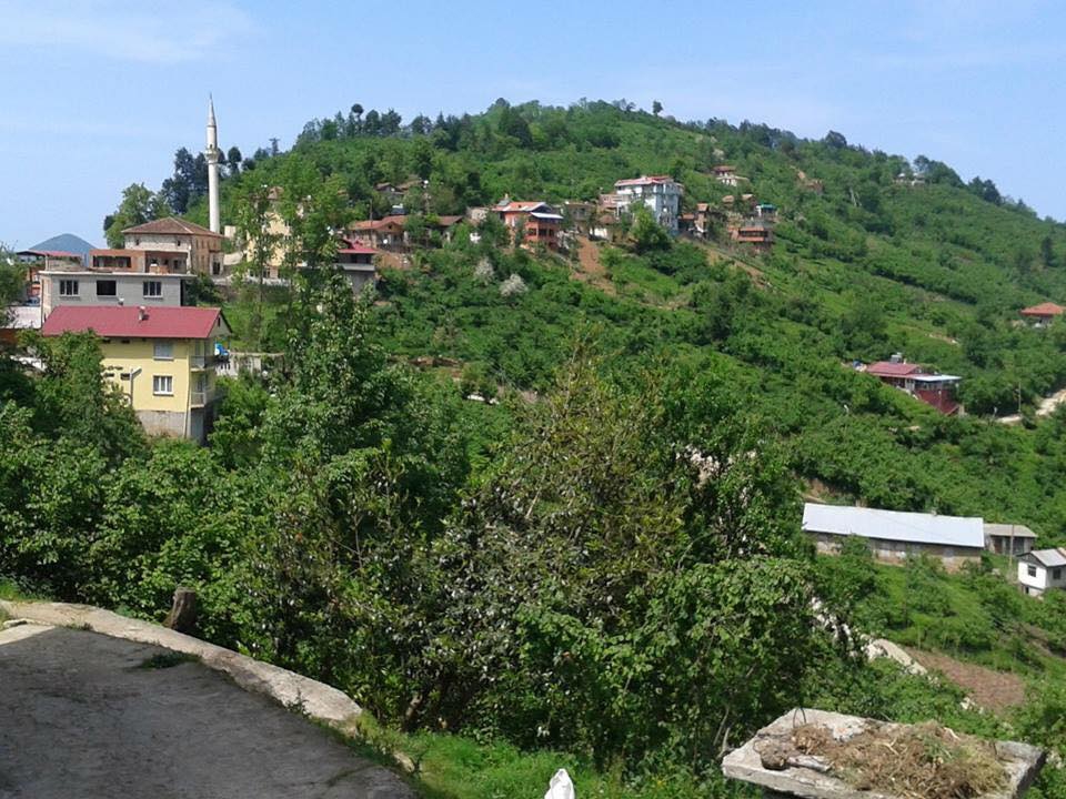 Araklı Yeşilköy Resimleri 4