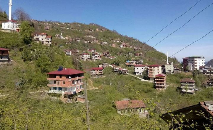 Araklı Yeşilköy Resimleri 5